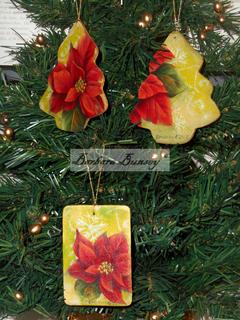 Elegant Poinsettias